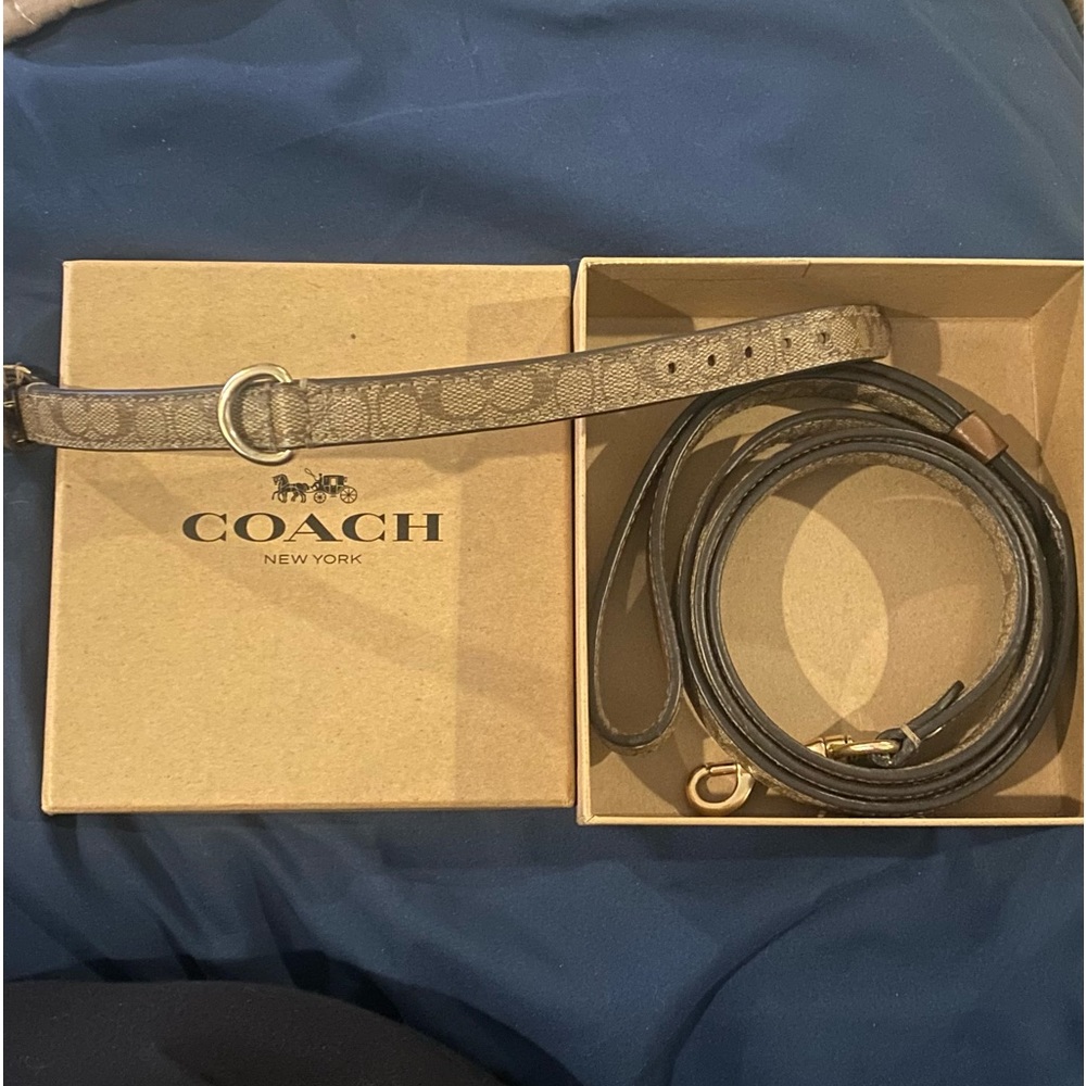 Coach dog collar and leash